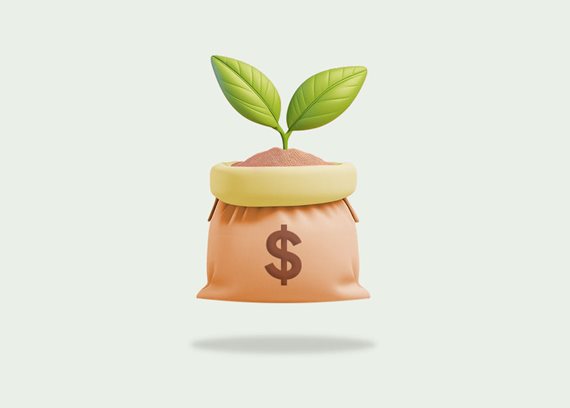 Plant spouting from a money sack