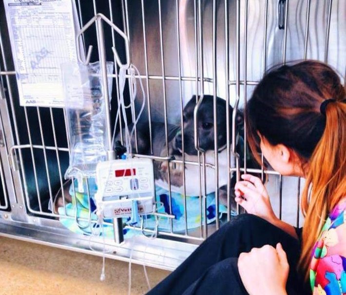 woman visiting dog in cage