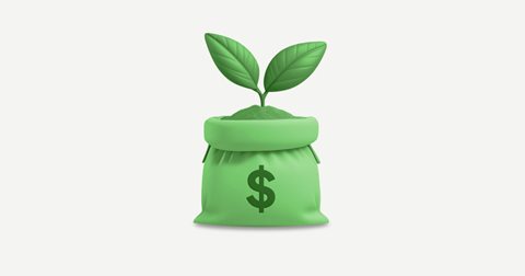 Money plant